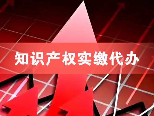 朔州知识产权实缴资本代办